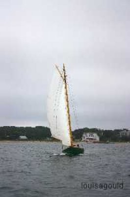 Louisa Gould - Vineyard Cup 2009