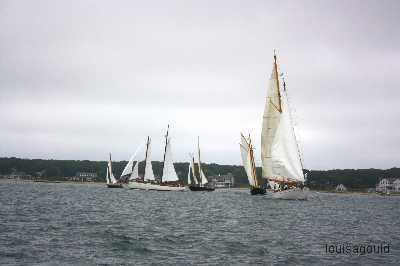 Louisa Gould - Vineyard Cup 2009