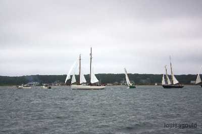 Louisa Gould - Vineyard Cup 2009