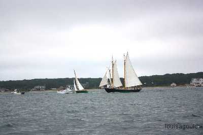 Louisa Gould - Vineyard Cup 2009