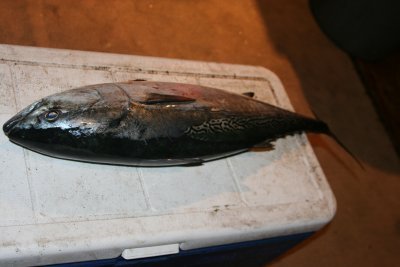 Louisa Gould - Fishing Derby 07