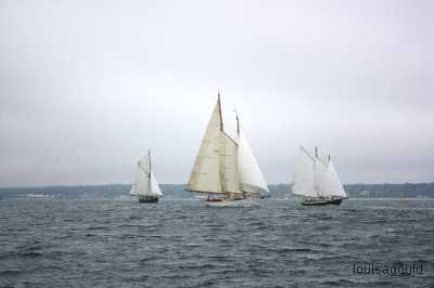 Louisa Gould - Vineyard Cup 2009