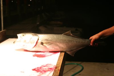 Louisa Gould - Fishing Derby 07