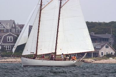 Louisa Gould - Vineyard Cup 2008