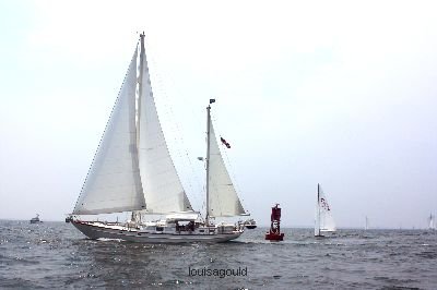 Louisa Gould - Vineyard Cup 2008