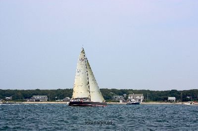 Louisa Gould - Vineyard Cup 2008