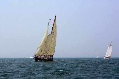 Louisa Gould - Vineyard Cup 2008