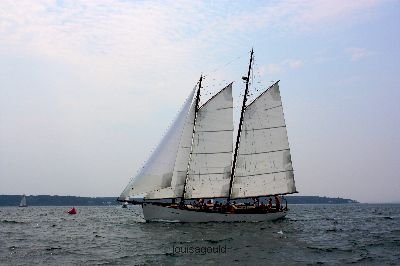 Louisa Gould - Vineyard Cup 2008