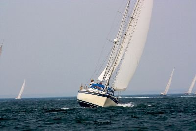 Louisa Gould - Vineyard Cup 2008