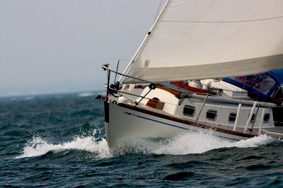 Louisa Gould - Vineyard Cup 2008