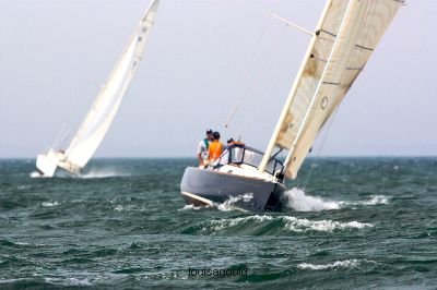 Louisa Gould - Vineyard Cup 2008