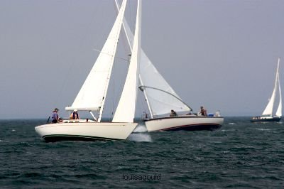 Louisa Gould - Vineyard Cup 2008