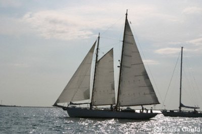 Louisa Gould - Around the Island Race