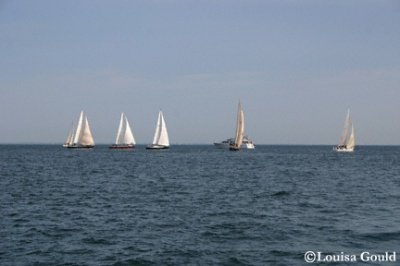 Louisa Gould - Around the Island Race