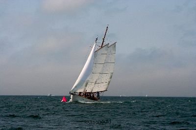 Louisa Gould - Vineyard Cup 2008