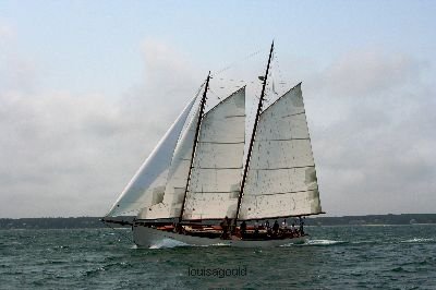 Louisa Gould - Vineyard Cup 2008