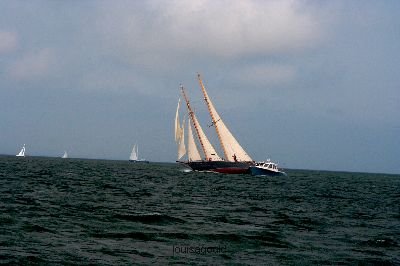 Louisa Gould - Vineyard Cup 2008