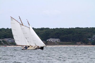 Louisa Gould - Moffett Race 2018