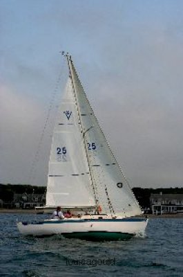 Louisa Gould - Vineyard Cup 2008