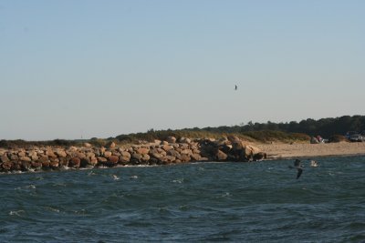 Louisa Gould - Fishing Derby 07