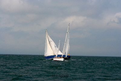 Louisa Gould - Vineyard Cup 2008