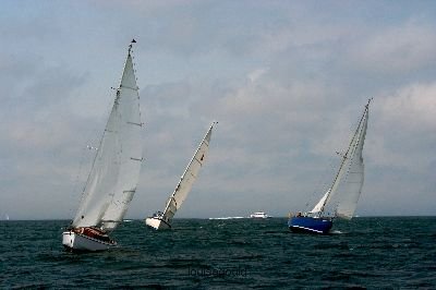 Louisa Gould - Vineyard Cup 2008