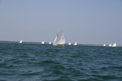 Louisa Gould - Edgartown Regatta