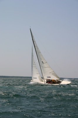 Louisa Gould - Edgartown Regatta