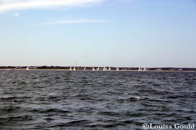 Louisa Gould - Cat Boat Race