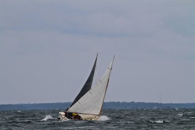 Louisa Gould - Moffett Race 2018