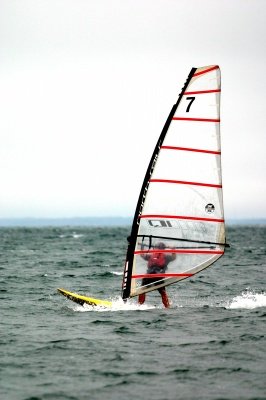 Louisa Gould - Windsurfing