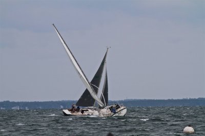 Louisa Gould - Moffett Race 2018