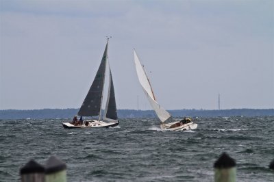 Louisa Gould - Moffett Race 2018