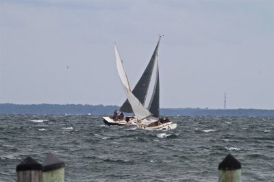 Louisa Gould - Moffett Race 2018