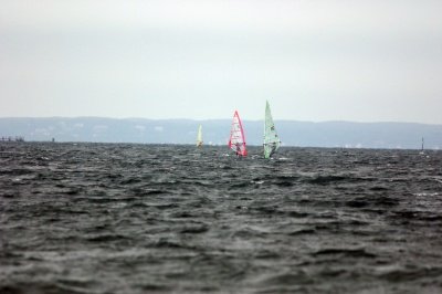 Louisa Gould - Windsurfing