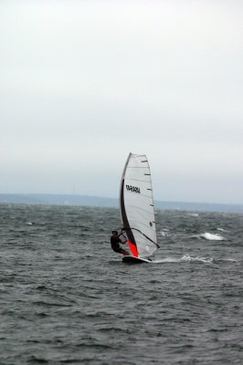 Louisa Gould - Windsurfing