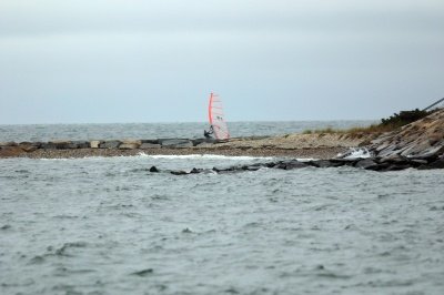 Louisa Gould - Windsurfing