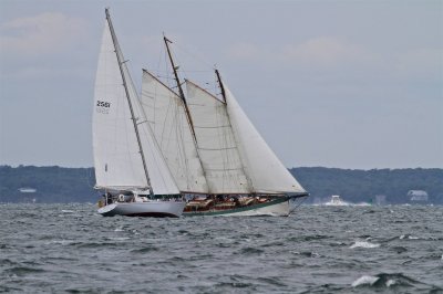 Louisa Gould - Moffett Race 2018