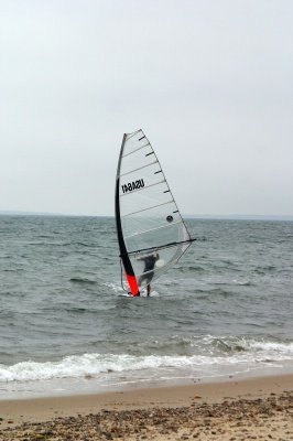 Louisa Gould - Windsurfing