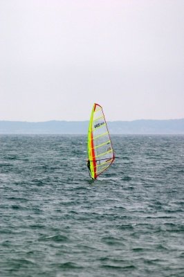 Louisa Gould - Windsurfing