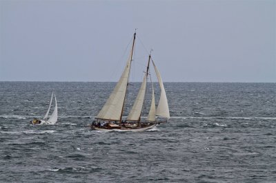 Louisa Gould - Moffett Race 2018