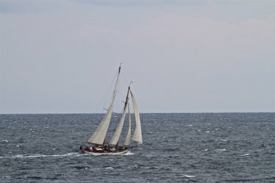 Louisa Gould - Moffett Race 2018