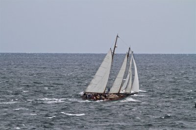 Louisa Gould - Moffett Race 2018