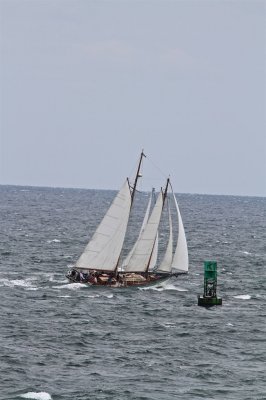 Louisa Gould - Moffett Race 2018