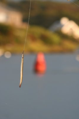Louisa Gould - Fishing Derby 07