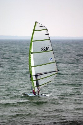 Louisa Gould - Windsurfing