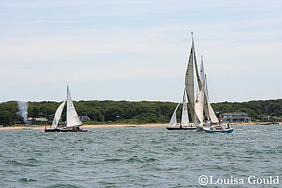 Louisa Gould - Vineyard Cup 2007