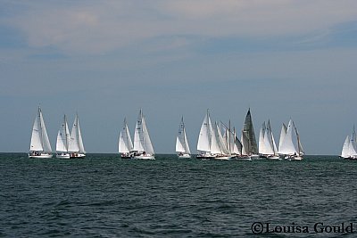 Louisa Gould - Vineyard Cup 2007