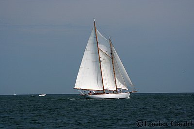 Louisa Gould - Vineyard Cup 2007