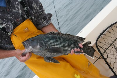 Louisa Gould - Fishing Derby 07